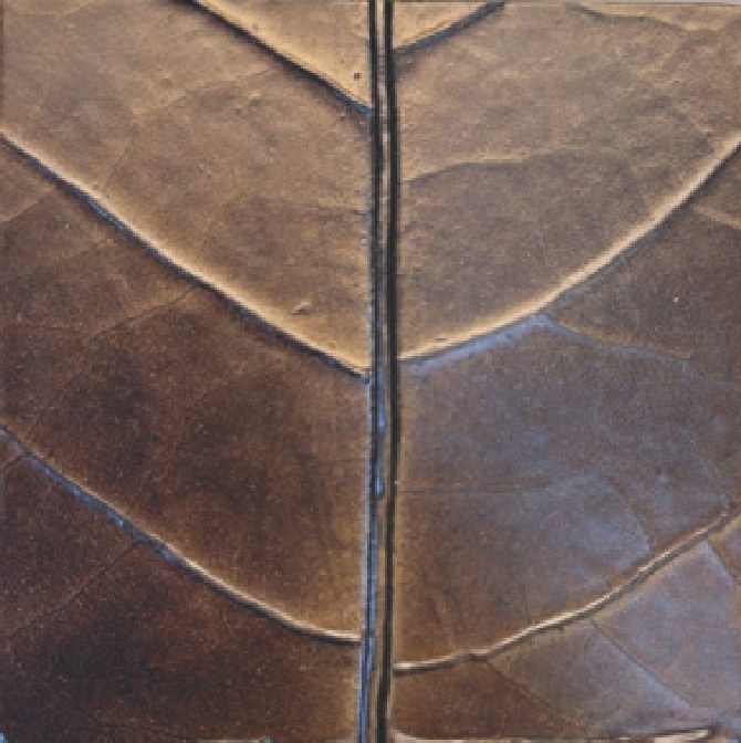 Tobacco Leaf