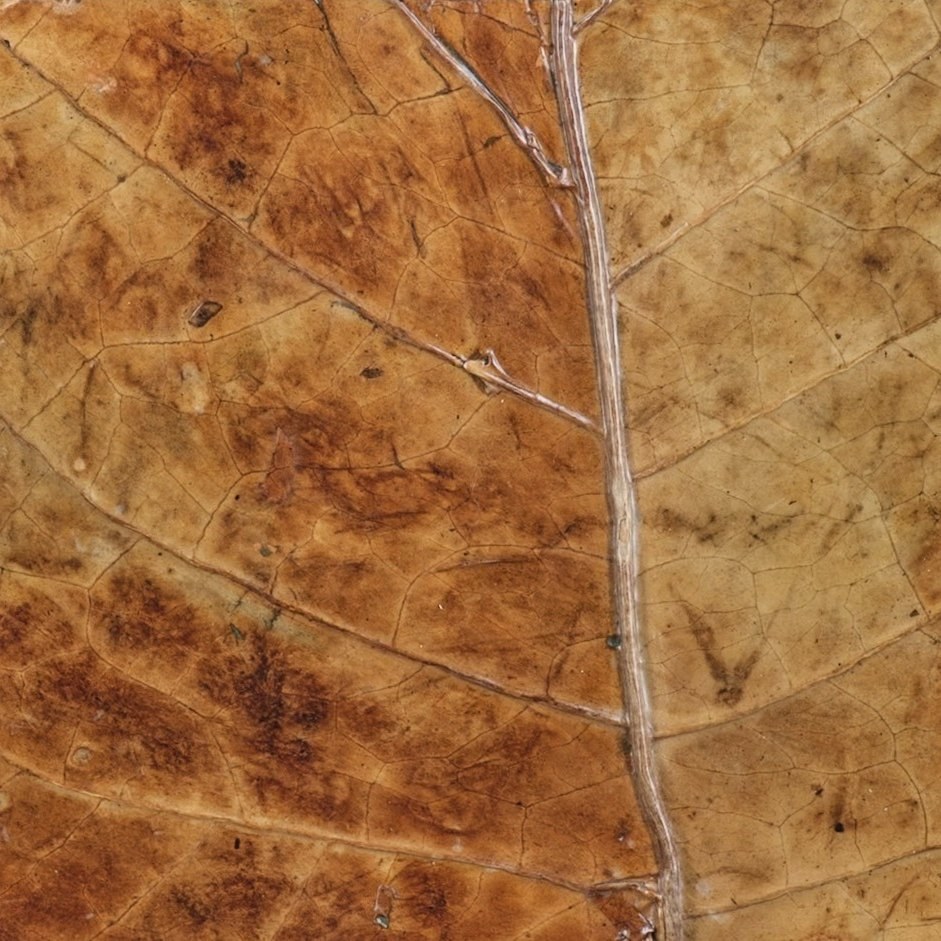 Natural leaf