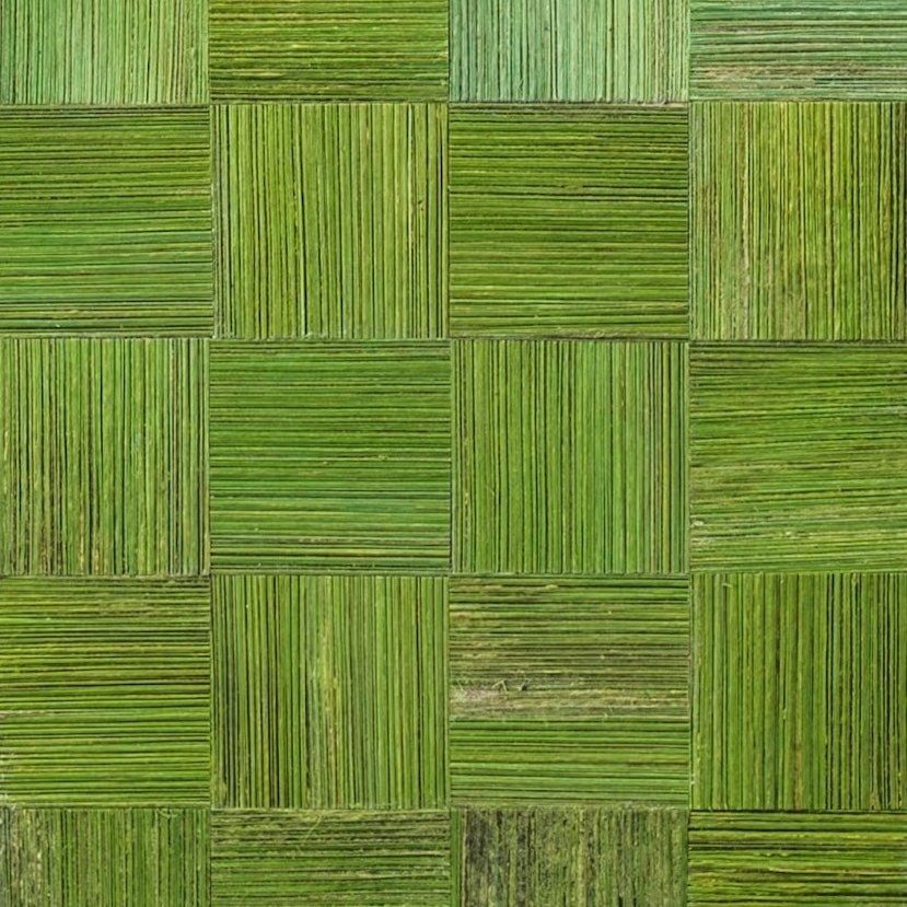 Green banana checkerboard