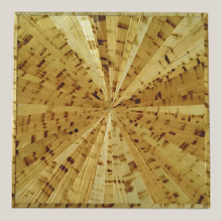 Tortoiseshell sunburst straw panel